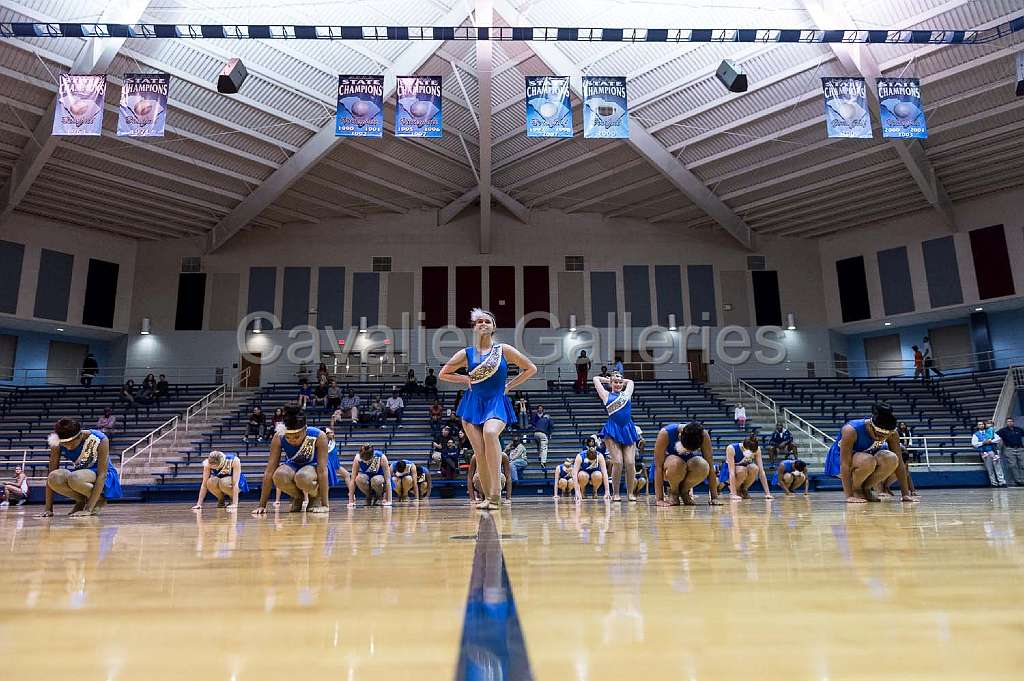 Blue Belles Halftime 5.jpg